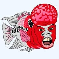 bigbrainfish.jpg