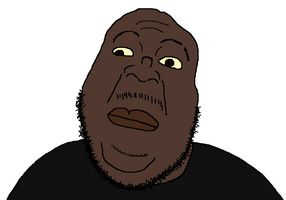 dumbnigger.png