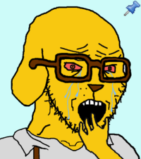 IMG_2070.png