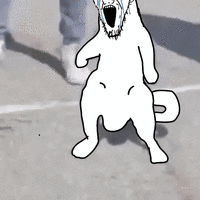 aarons_animals animal animated bloodshot_eyes cat cat_whips_it crying glasses large_eyebrows o...gif