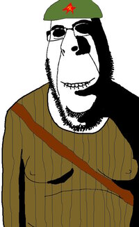 1738712898356d.jpg
