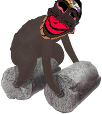 1720407655668p.png