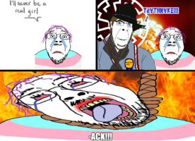 65395 - SoyBooru.png