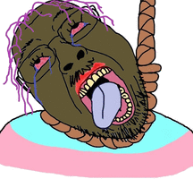 1714798545359c.gif