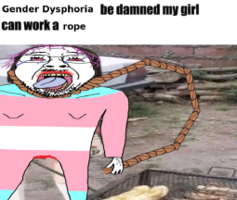 1731394764513y.png