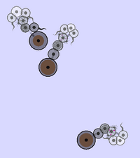 Screenshot 2025-02-14 7.11.13 PM.png