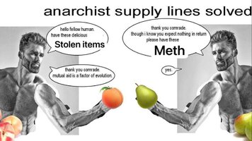 1741563238676.jpeg