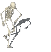 Skelet.gif