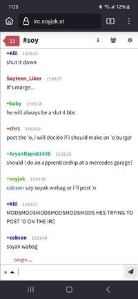 Screenshot_20250311_130342_Firefox.jpg
