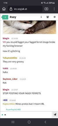 Screenshot_20250311_131444_Firefox.jpg