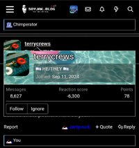 Screenshot_20250312_021115_Brave.jpg