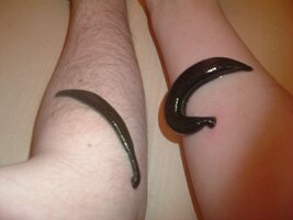 IMG_0894.jpeg