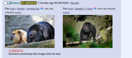 IMG_7966.jpeg