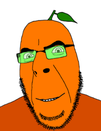 1743798495392.png