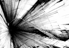IMG_6525.png