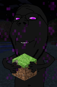wholesome_enderman.png