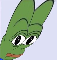 1722177556526.jpg