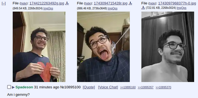 soyboy.png