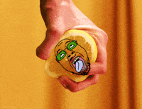 KILL FROOT.gif