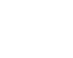 Clear250x200.gif