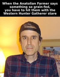 1747341542141i.png