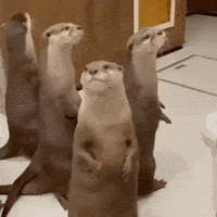 where.gif