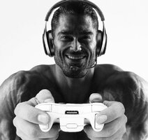 gigachad playing vidya.jpg