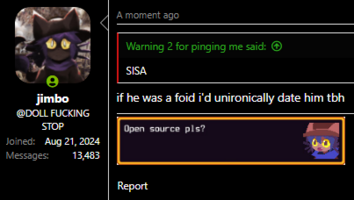 Screenshot 2025-01-12 231203.png