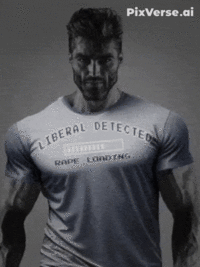 1748165847641x.gif