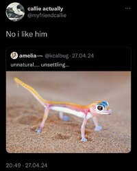 tumblr_58478fea0669dab7f9806c735065100e_735999af_1280.jpg