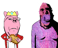 IMG_7517.png