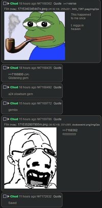 soy5.JPG