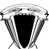 n.png n.png