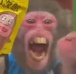 soya.jpg