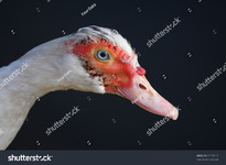 1725832422681.png
