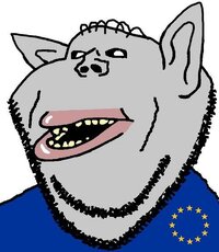 12.jpeg