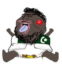 pakitroon.png