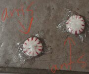 IMG_6862.jpeg IMG_6862.jpeg
