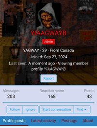 Screenshot_20241007_133633_Firefox.jpg