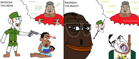 1728706560915r.png