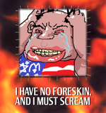 1619558730198.png