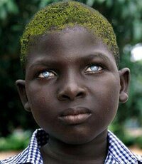 300px-The_burundian.jpg