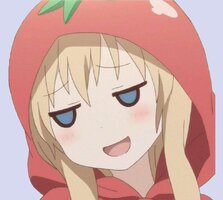 1730517981302.jpeg