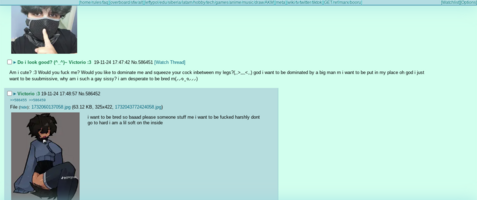 Screenshot 2024-11-19 6.01.49 PM.png