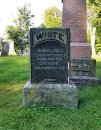 1732147964429.png