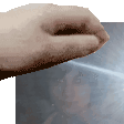 Terry pooner pet.gif