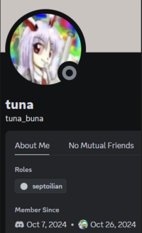 Screenshot 2024-11-22 202437.png