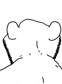 swedes back.png