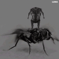 1718604011009c.gif