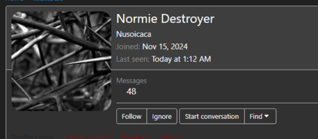 Screenshot 2024-11-23 031941.png Screenshot 2024-11-23 031941.png